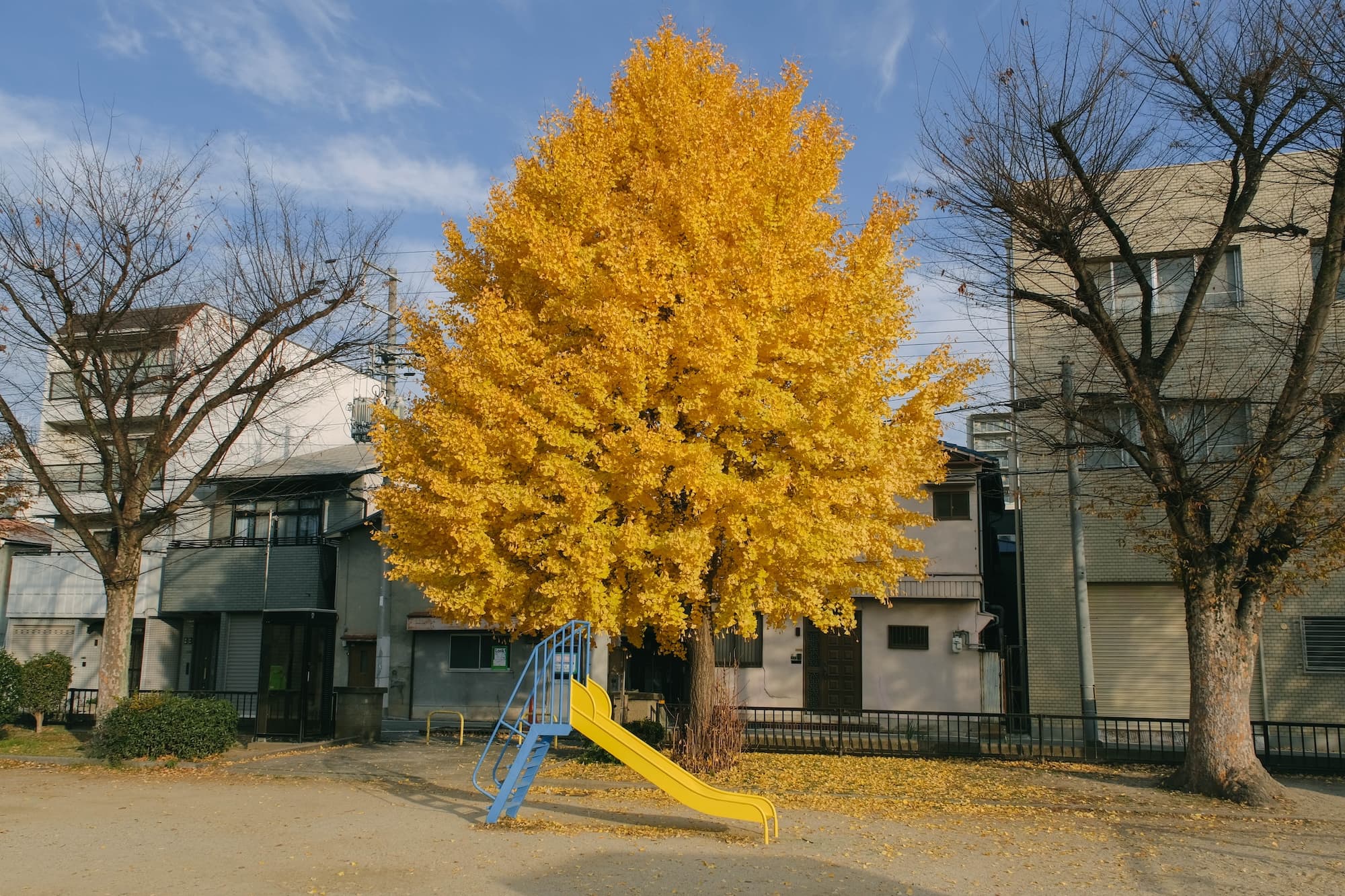 いつまでも覚えている景色